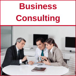 Business Consulting Business Consulting Franchise