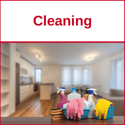 Cleaning Cleaning Franchise