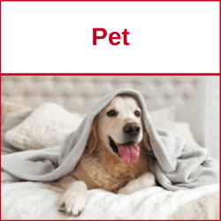 Pet Pet Franchise