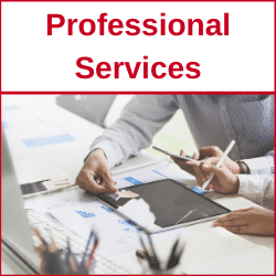 Professional Services Professional Services Franchise